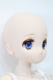 画像4: azone/アイリスコレクト プチ：こはる With happiness ver.1.1 S-25-04-06-001-KD-ZS (4)