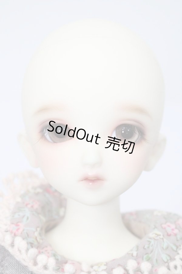 画像6: SDM/コーディネートモデル:F-33 S-24-01-14-102-GN-ZS (6)