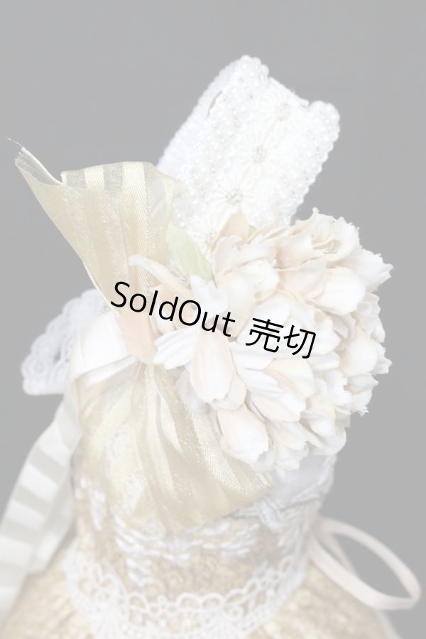 画像4: SD/OF:ワンオフモデル ドレスセット S-24-01-14-104-GN-ZS (4)