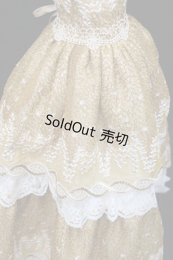 画像6: SD/OF:ワンオフモデル ドレスセット S-24-01-14-104-GN-ZS (6)