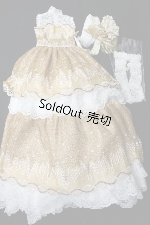 画像8: SD/OF:ワンオフモデル ドレスセット S-24-01-14-104-GN-ZS (8)