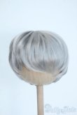 画像1: 8-9inch/ウィッグ(ショート/シルバー) Y-25-11-26-110-GN-ZY (1)