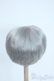 画像2: 8-9inch/ウィッグ(ショート/シルバー) Y-25-11-26-110-GN-ZY (2)