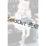 画像: MDD/猫魔導士セット(Ronshuka/ロンシュカ様製) S-24-04-14-187-GN-ZS