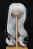画像1: ウィッグ/8-9inch:ツーサイドアップウェーブ(Ronshuka/ロンシュカ様) S-25-03-30-326-GN-ZS (1)