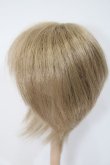 画像2: ウィッグ/8-9inch:ショート系 S-25-03-02-303-GN-ZS (2)