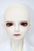 画像7: LUTS/Senior65 Delf CARMINE S-24-02-11-096-GN-ZS (7)