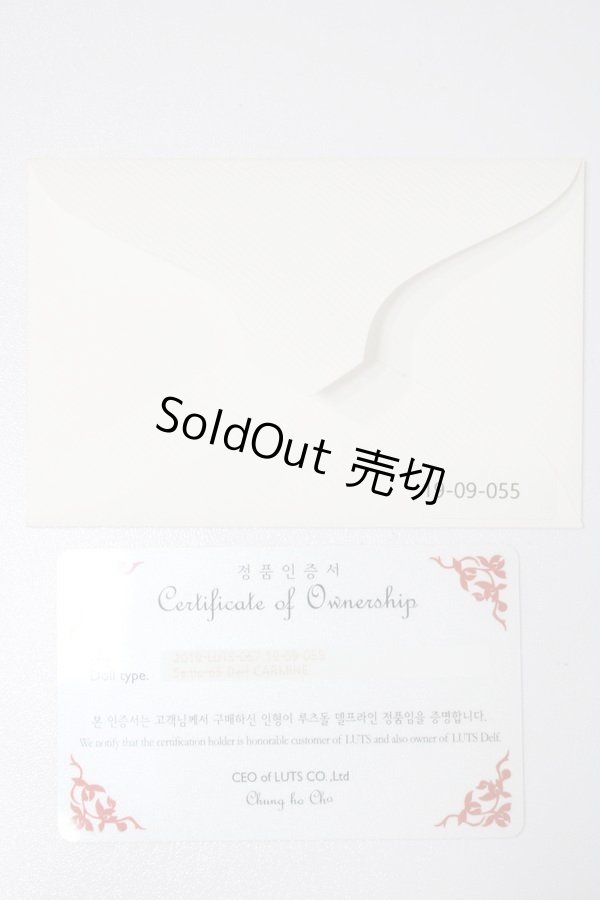 画像8: LUTS/Senior65 Delf CARMINE S-24-02-11-096-GN-ZS (8)