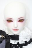 画像1: Ringdoll/Mr. Caterpillar Anjon Fullset S-25-02-23-303-GN-ZS (1)