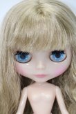 画像4: ネオブライス/プリンセスシャーリーブライス S-25-04-13-412-GN-ZS (4)