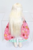画像5: azone/リルフェアリー リプー:〜猫の手も借りたい？〜 S-25-02-09-315-GN-ZS (5)
