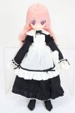 画像4: azone/リルフェアリー ヴェル:フォトノベル リルフェアリー発売記念モデル S-24-03-10-163-GN-ZS (4)