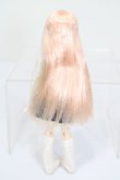 画像5: azone/リルフェアリー エルノ:ちいさなアゾンスタッフ(2014レーベルショップ秋葉原オープン記念モデル)(アゾンダイレクトストア限定ver.) S-25-04-13-520-GN-ZS (5)