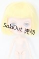 画像: POPMART/ポップマートブライス:画家シリーズ(カスタム) S-24-05-26-272-GN-ZS
