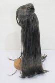 画像2: ウィッグ/9-10inch:ストレートロング S-25-03-30-390-GN-ZS (2)