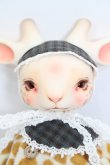 画像1: DEARMINE/AGRIPPA S-24-03-17-005-GN-ZS (1)