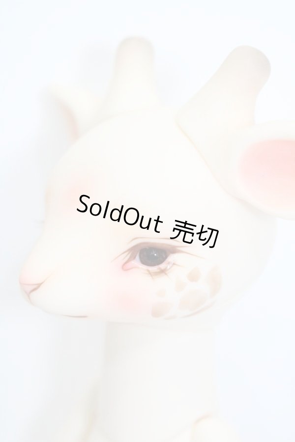 画像7: DEARMINE/AGRIPPA S-24-03-17-005-GN-ZS (7)