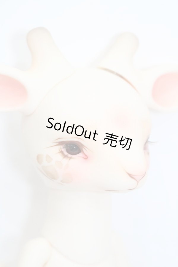 画像8: DEARMINE/AGRIPPA S-24-03-17-005-GN-ZS (8)