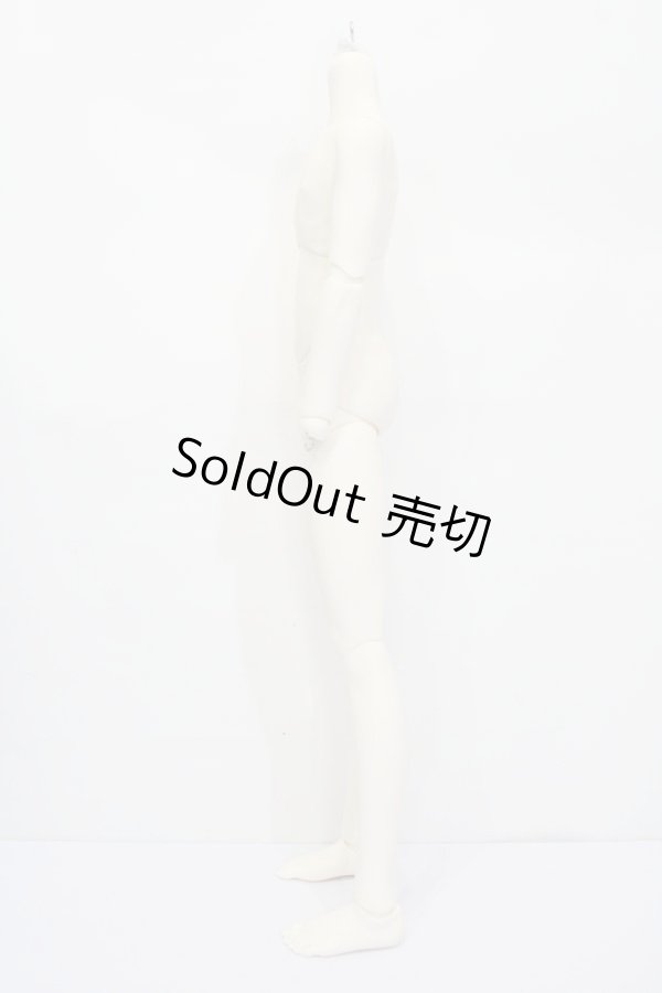 画像3: SDGrB/ウィリアムズボディ S-24-03-17-001-GN-ZS (3)