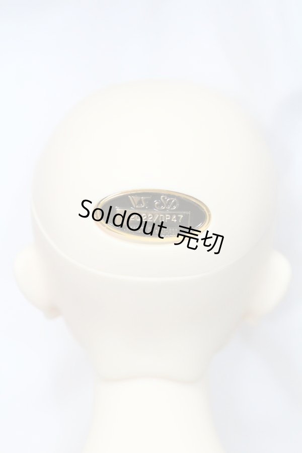 画像6: SD17BOY/マクシミリアン:星間学寮Ver. S-24-04-14-004-GN-ZS (6)