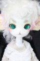 画像: Dollzone/Miss Kitty S-24-04-14-007-GN-ZS