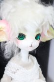 画像3: Dollzone/Miss Kitty S-24-04-14-007-GN-ZS (3)
