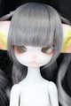 画像: Dollzone/Miss Kitty:猫メイドver. Limited S-24-04-14-006-GN-ZS