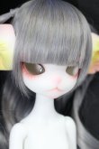 画像3: Dollzone/Miss Kitty:猫メイドver. Limited S-24-04-14-006-GN-ZS (3)