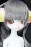 画像3: Dollzone/Miss Kitty:猫メイドver. Limited S-24-08-04-263-GN-ZS (3)