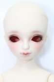 画像1: SDM女の子/コーディネートモデル:夕霧 S-24-12-08-434-GN-ZS (1)