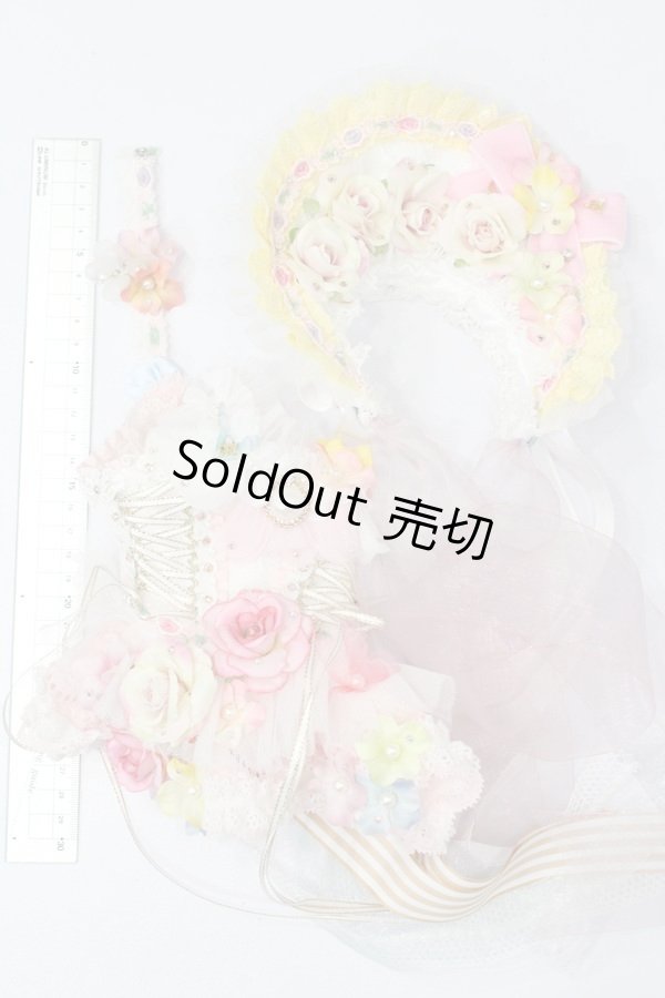 画像8: SDGr/OF:S eternal maiden様製ドレスセット S-24-04-21-019-GN-ZS (8)