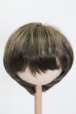 画像1: ウィッグ/8-9inch S-25-04-20-339-GN-ZS (1)