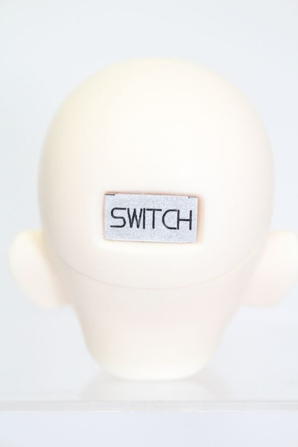画像4: SWITCH/SEOJINヘッド S-25-03-30-465-GN-ZS (4)