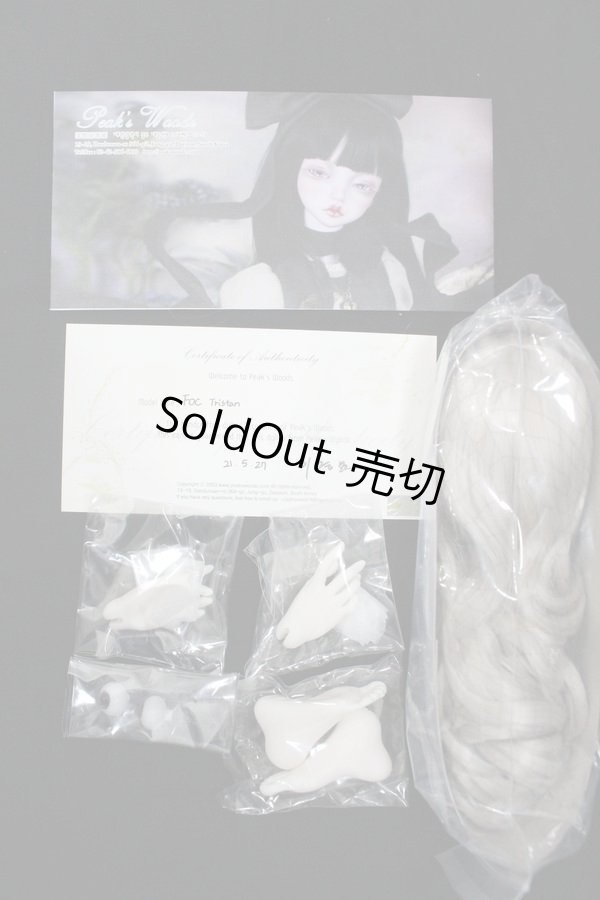 画像10: Peak's Woods/FOC Tristan ver. Romantico Limited S-24-04-21-122-GN-ZS (10)