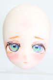 画像1: DD/DDH-29:カスタムヘッド:ぜりぽこ様製 S-25-04-13-480-GN-ZS (1)