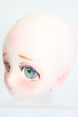 画像2: DD/DDH-29:カスタムヘッド:ぜりぽこ様製 S-25-04-13-480-GN-ZS (2)