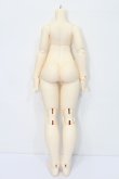 画像2: XAGADOLL/1/4 Girl Body(X-F-40) S-24-06-16-234-GN-ZS (2)