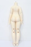 画像2: XAGADOLL/1/4 Girl Body(X-F-40) S-24-04-28-166-GN-ZS (2)