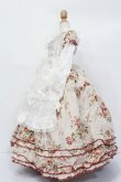 画像2: SD/OF:花柄ドレスセット S-25-04-20-422-GN-ZS (2)