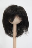 画像1: ウィッグ/6-7inch S-25-04-20-360-GN-ZS (1)
