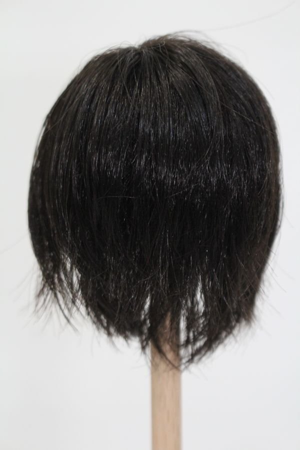 画像2: ウィッグ/6-7inch S-25-04-20-360-GN-ZS (2)
