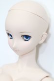 画像3: DD/ルーラー ジャンヌ ダルク(Jeanne d'Arc)Fate/Grand Order S-25-02-02-325-GN-ZS (3)