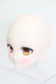 画像2: DD/DDH-27:カスタムメイクヘッド S-25-02-11-410-GN-ZS (2)