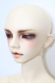 画像2: SD17BOY/ウィリアムズ:Commodore ver. S-24-10-09-032-GN-ZS (2)
