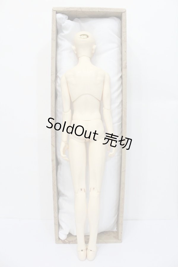 画像6: SD17BOY/ウィリアムズ:Commodore ver. S-24-10-09-032-GN-ZS (6)