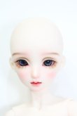 画像1: AsleepEidolon/Blueberry2020 S-24-10-06-295-GN-ZS (1)