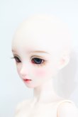 画像2: AsleepEidolon/Blueberry2020 S-24-10-06-295-GN-ZS (2)