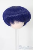 画像1: ウィッグ/5inch:PARABOX製 S-25-08-03-221-GN-ZS (1)