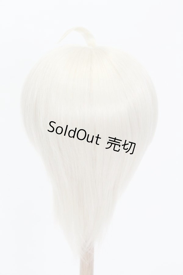 画像3: ウィッグ/8.5inch:Medium Cowlick:MSireDoll製 S-25-07-06-616-GN-ZS (3)