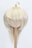 画像1: ウィッグ/8.5inch:Medium Cowlick:MSireDoll製 S-25-03-30-413-GN-ZS (1)